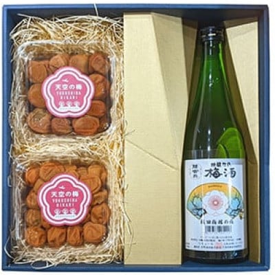 梅酒(吟醸)と梅干〈坂田の梅ギフトセットA〉【横芝光町産の梅使用】M-1a