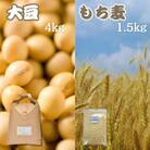 令和6年産　大豆4kg・もち麦1.5kg【食物繊維が豊富!】