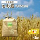 【毎月定期便】食物繊維たっぷりの「もち麦」(きはだもち) 4kg 　千葉県横芝光町産全3回