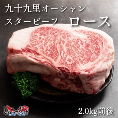 九十九里オーシャンスタービーフブロック(ロース)2.0kg前後