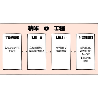 壱岐産米　こしひかり　5kg