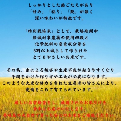 壱岐産米　つや姫　5kg
