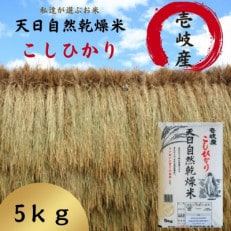 壱岐産　天日自然乾燥米こしひかり　5kg
