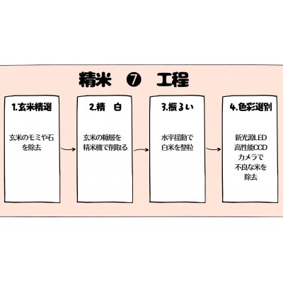 壱岐産　天日自然乾燥米こしひかり　5kg