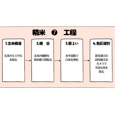 壱岐産米　食べ比べセット　2kg×4【つや姫・にこまる・こしひかり・なつほのか】