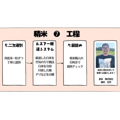 壱岐産米　食べ比べセット　2kg×4【つや姫・にこまる・こしひかり・なつほのか】