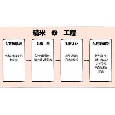 壱岐産　かけ干し　ひのひかり　10kg(5kg×2袋)