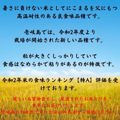 壱岐産 なつほのか 10kg(5kg×2袋) | 長崎県壱岐市 | ふるさと 壱岐産 なつほのか 10kg(5kg×2袋) | 長崎県壱岐市 | ふるさと