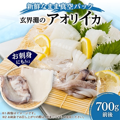 アオリイカ(水イカ)処理済み