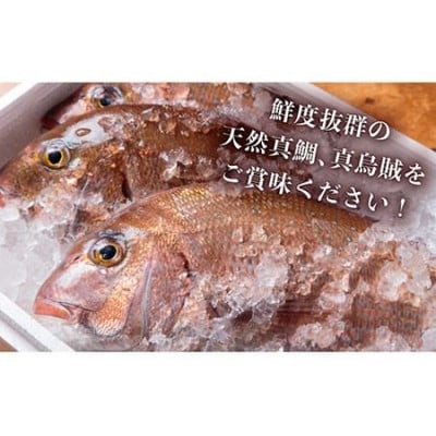 【平山旅館壱岐もの屋】島茶漬け 4人前 ギフトセット