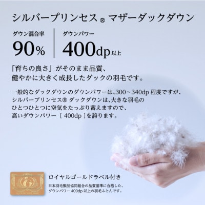【訳あり】色柄おまかせ 羽毛本掛けふとん・セミダブル　プリンセスダックダウン90%