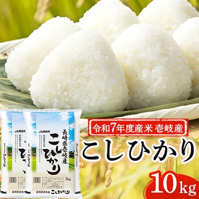 【令和7年度産米】壱岐産 こしひかり 10kg