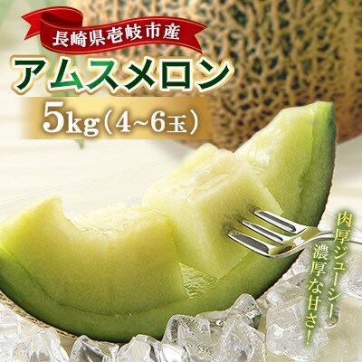 【先行受付】壱岐産アムスメロン 約5kg(4玉～6玉) 玉数指定不可