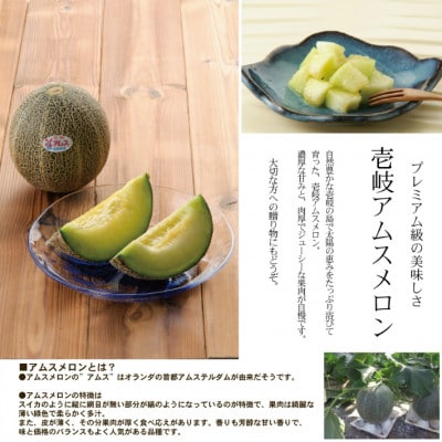 【先行受付】壱岐産アムスメロン 約5kg(4玉～6玉) 玉数指定不可