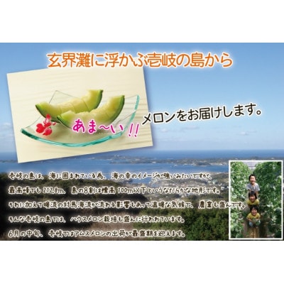 【先行受付】壱岐産アムスメロン 約5kg(4玉～6玉) 玉数指定不可