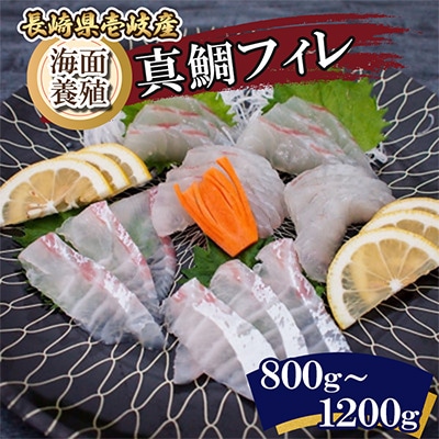 海面養殖マダイフィレ(冷凍発送)