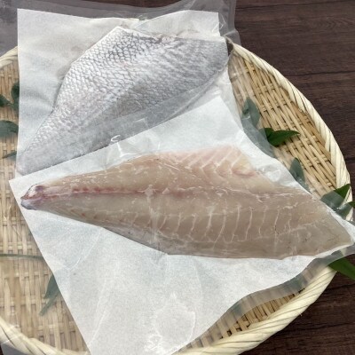 海面養殖マダイフィレ(冷凍発送)
