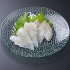 低塩分地下海水育ち「ヒラメフィレ」(冷凍発送)