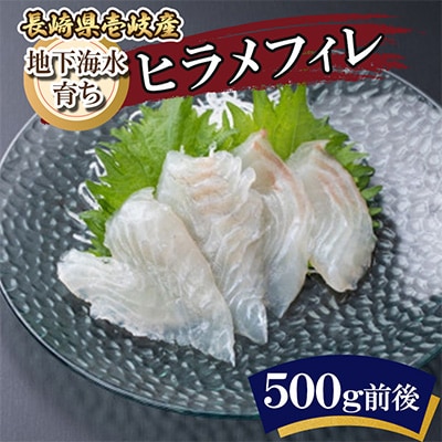 地下海水育ち「ヒラメフィレ」(冷凍発送)