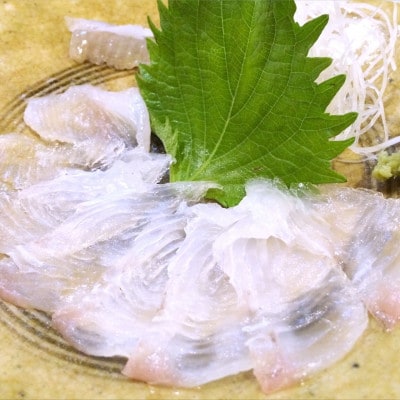 地下海水育ち「ヒラメフィレ」(冷凍発送)