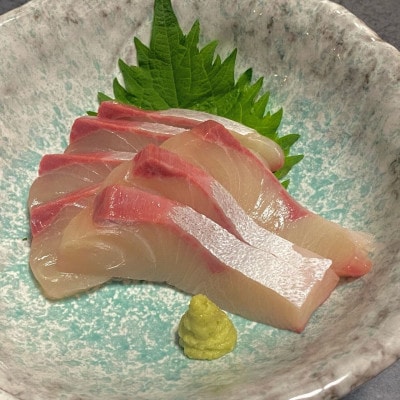 養殖ヒラマサフィレ(半尾分1枚:冷凍発送)
