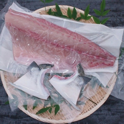 養殖ヒラマサフィレ(半尾分1枚:冷凍発送)