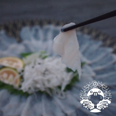 【毎月定期便】特選トラフグ刺身セット(1人前)全6回