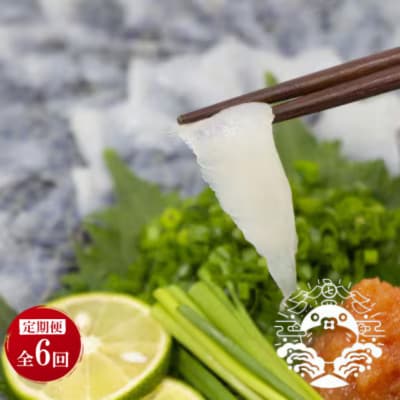 【毎月定期便】特選トラフグ刺身セット(4～5人前)全6回