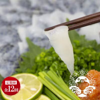 【毎月定期便】特選トラフグ刺身セット(4～5人前)全12回