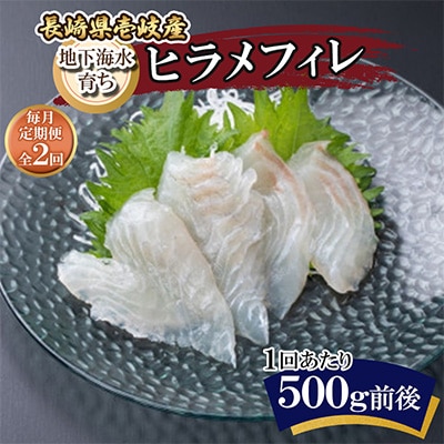 【毎月定期便】地下海水育ち「ヒラメフィレ」(冷凍発送)全2回