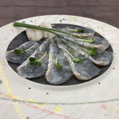 【毎月定期便】地下海水育ち「ヒラメフィレ」(冷凍発送)全2回