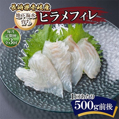 【毎月定期便】地下海水育ち「ヒラメフィレ」(冷凍発送)全3回