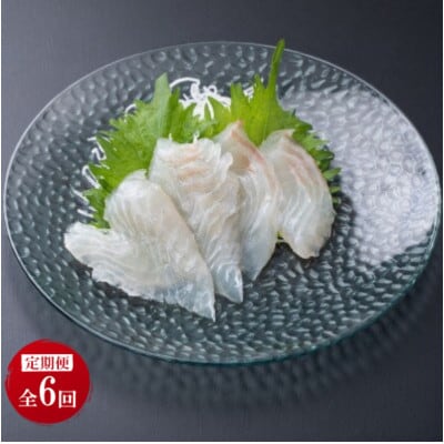 【毎月定期便】地下海水育ち「ヒラメフィレ」(冷凍発送)全6回
