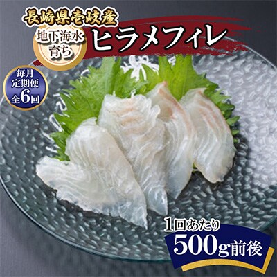 【毎月定期便】地下海水育ち「ヒラメフィレ」(冷凍発送)全6回