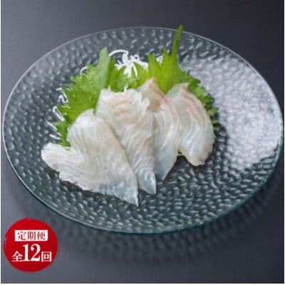【毎月定期便】地下海水育ち「ヒラメフィレ」(冷凍発送)全12回