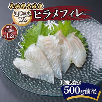 【毎月定期便】地下海水育ち「ヒラメフィレ」(冷凍発送)全12回
