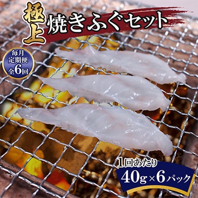 【毎月定期便】極上焼きふぐセット(40g×6パック)全6回