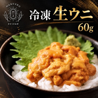 冷凍 生ウニ 60g