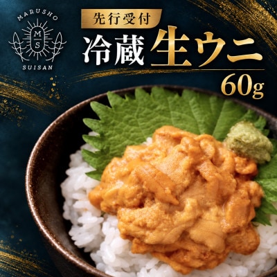 【先行受付】冷蔵 生ウニ 60g