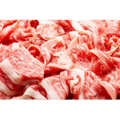 【A4～A5】長崎和牛切り落とし　500g(壱岐市)