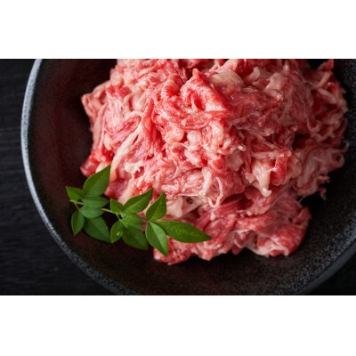 【A4～A5】長崎和牛切り落とし　500g(壱岐市)
