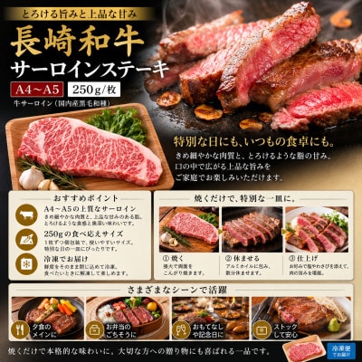 【A4～A5】長崎和牛サーロインステーキセット　500g(250g×2枚)(壱岐市)