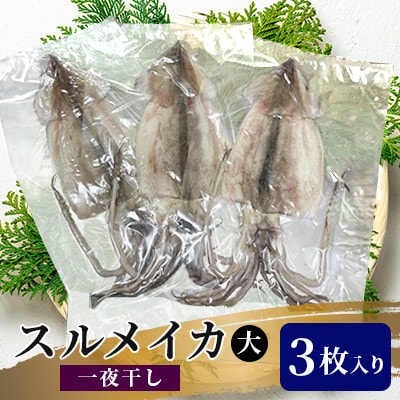 スルメ一夜干　大　3枚入り