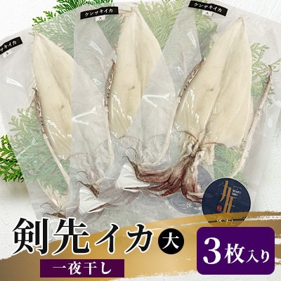 剣先イカ一夜干し大3枚入