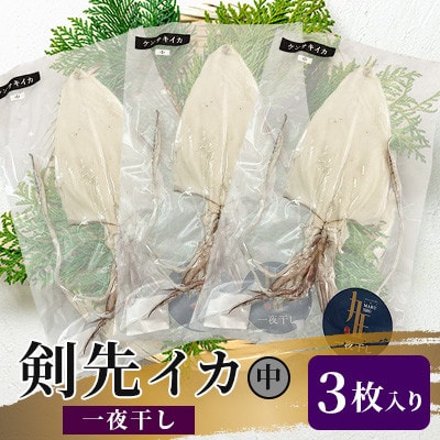 剣先イカ一夜干し中3枚入