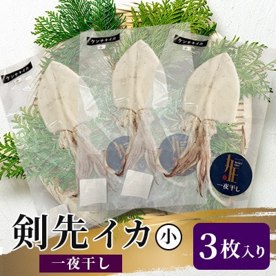 剣先イカ一夜干し小3枚入