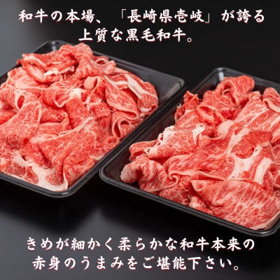 長崎県産 黒毛和牛 切落し 1.2kg(600g×2パック)(壱岐市)
