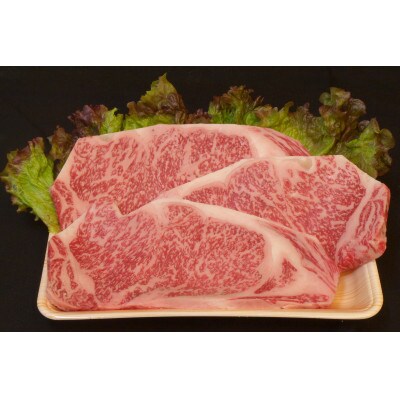 ステーキ+壱岐牛カレープレミアムセット【複数個口で配送】