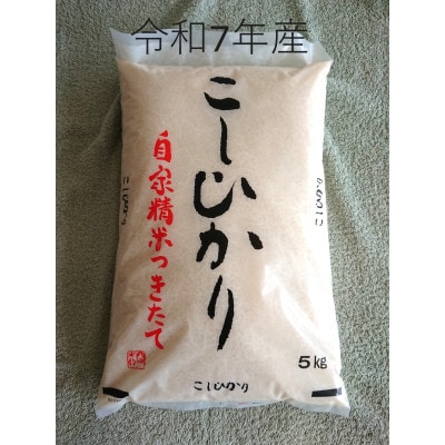 厳選　茨城県産コシヒカリ　精米5kg