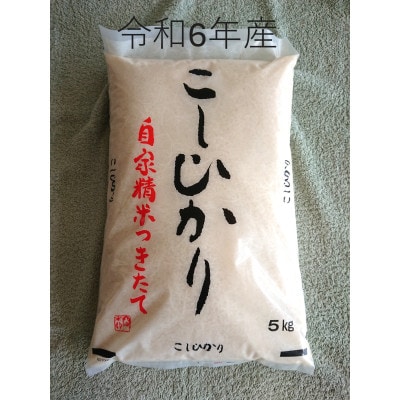 令和6年産　厳選　茨城県産コシヒカリ　精米5kg